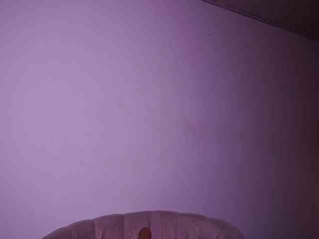 alondrasparrow webcam