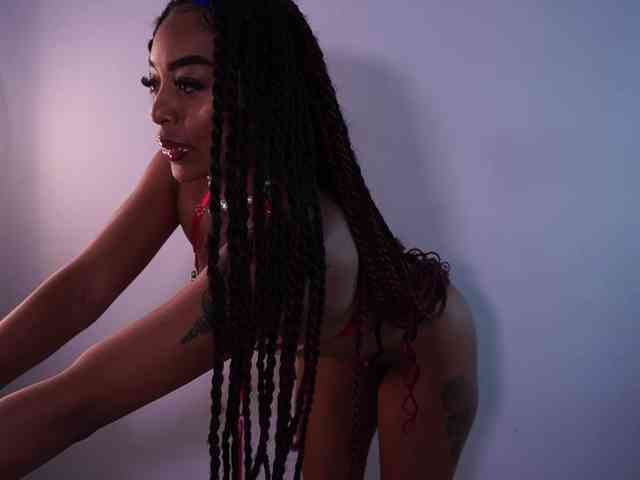 alondrasparrow webcam