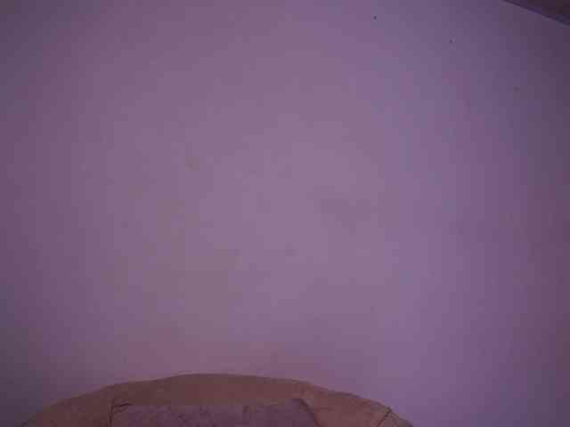 alondrasparrow webcam