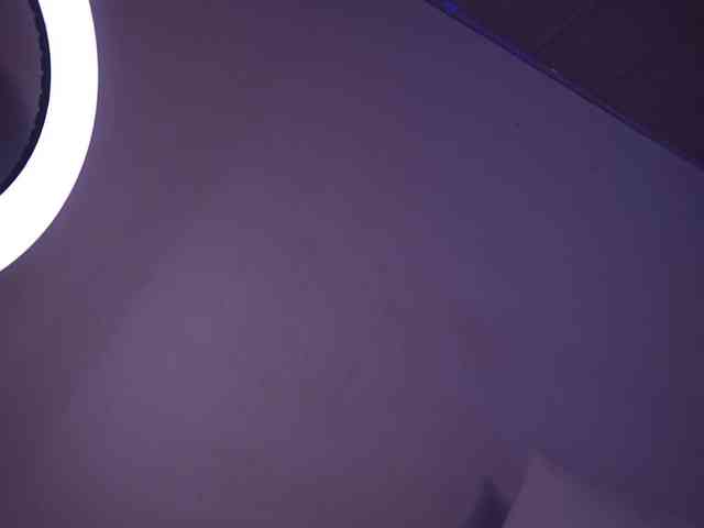 alondrasparrow webcam