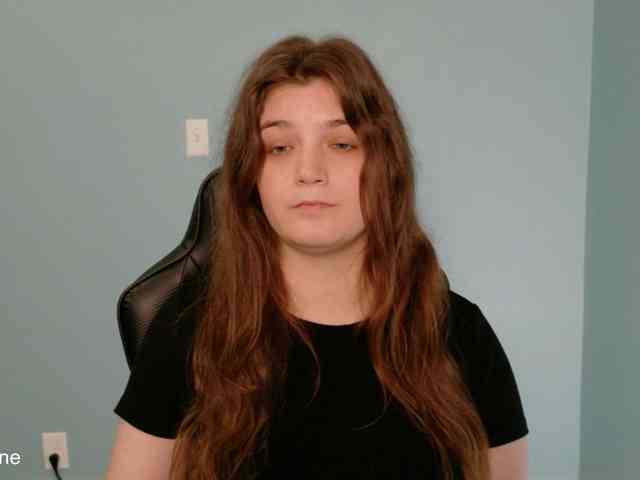 TreeJeanne webcam