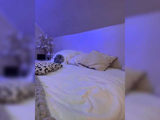 HollyPolly111 live cam on BongaCams