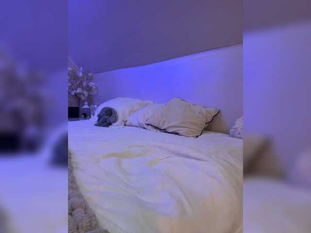 HollyPolly111 live cam on BongaCams