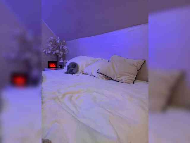 PauLiiine webcam