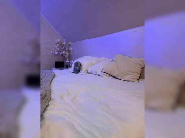 PauLiiine webcam