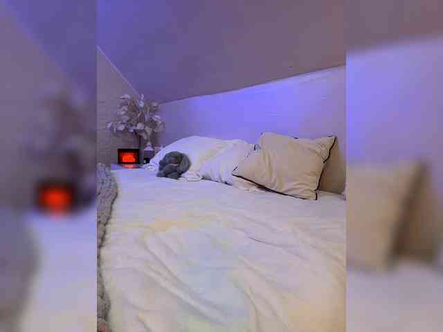 PauLiiine webcam
