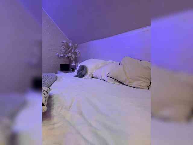 PauLiiine webcam