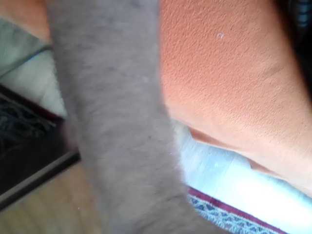 APAT1
