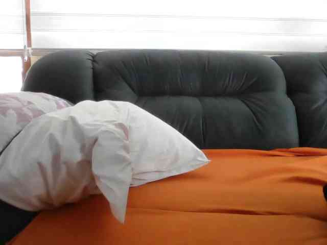 APAT1