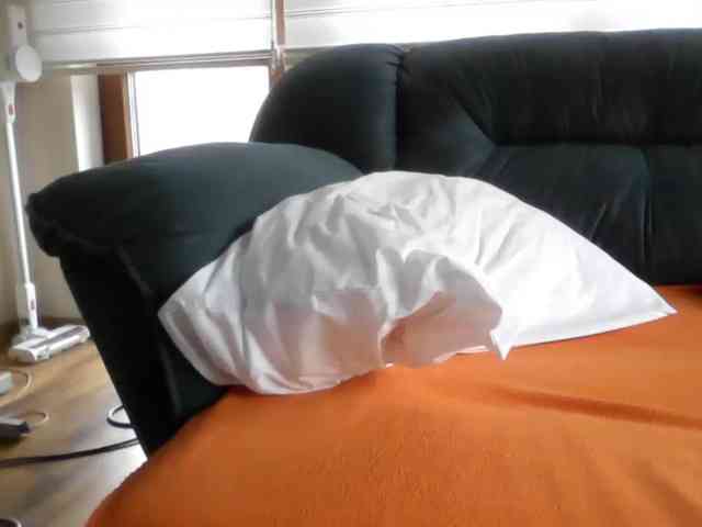 APAT1 APAT1