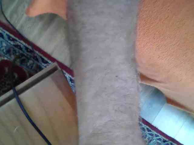 APAT1