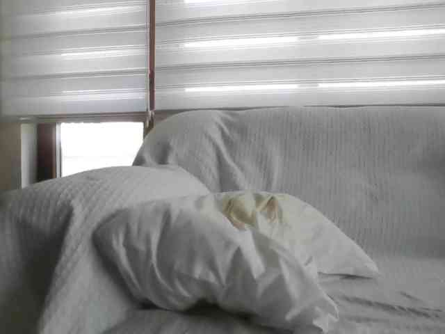 APAT1 Sex Cam Show