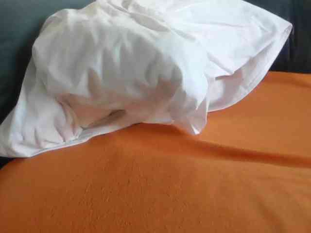 APAT1