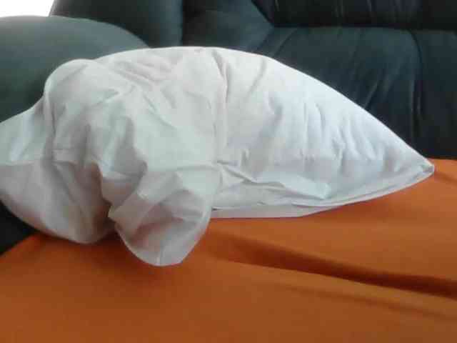 APAT1