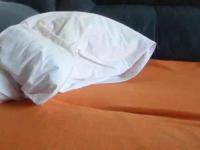 APAT1