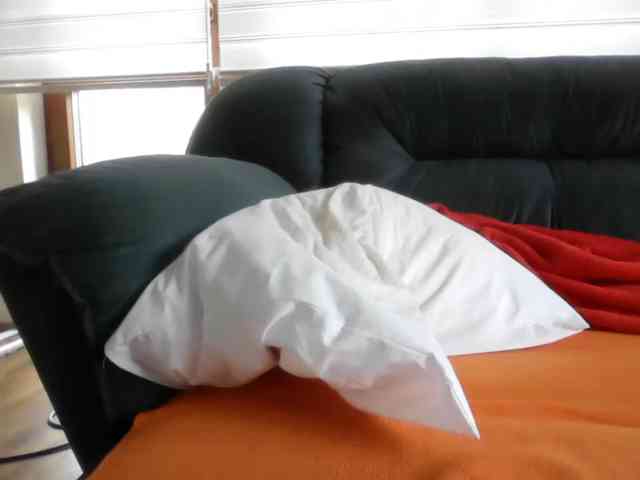 APAT1