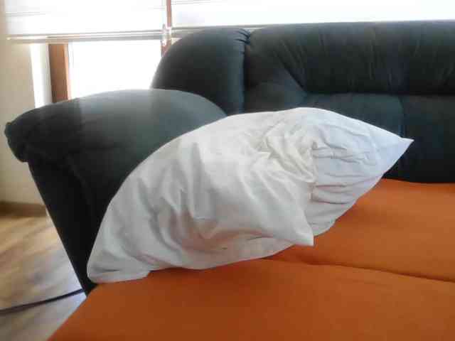 APAT1 APAT1