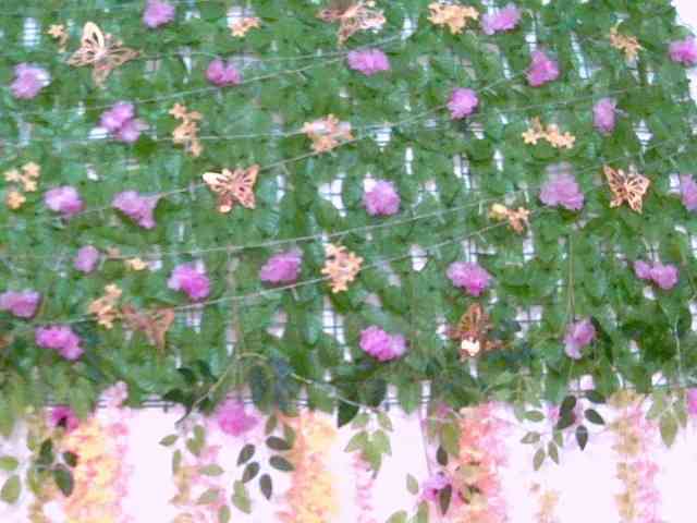 Crystal25