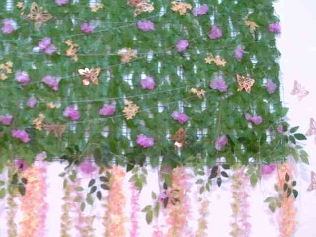 Crystal25 webcam