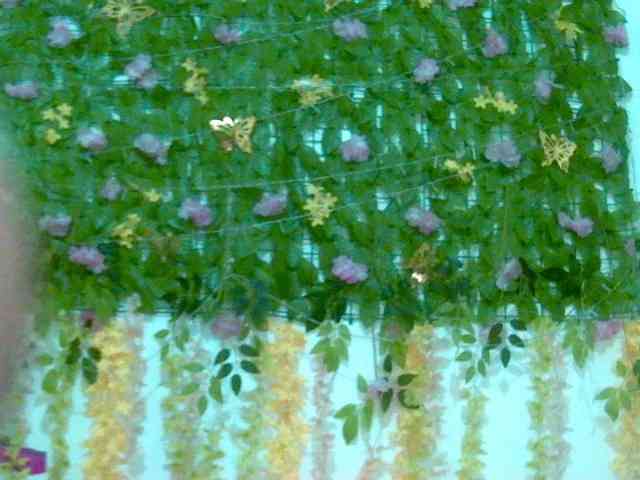 Crystal25 webcam