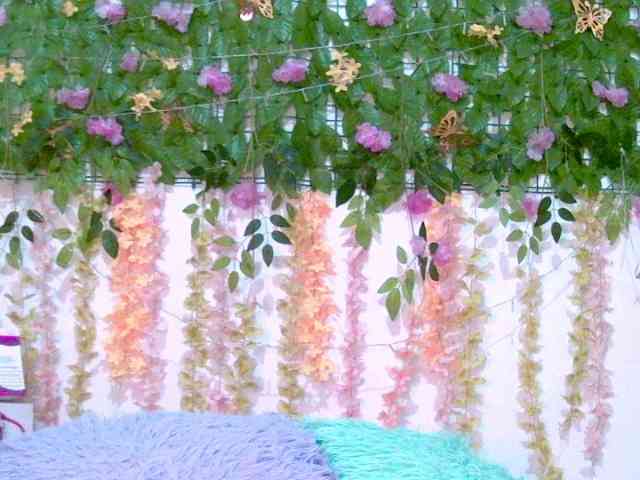 Crystal25 webcam