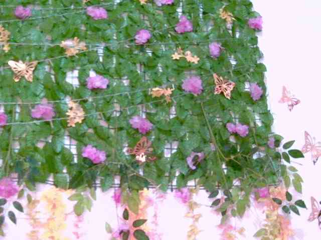 Crystal25 webcam