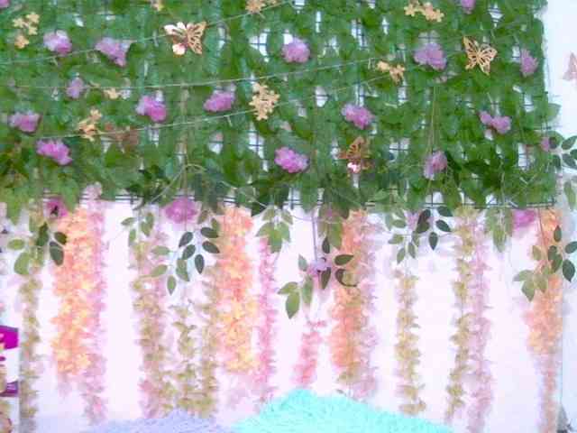 Crystal25 webcam