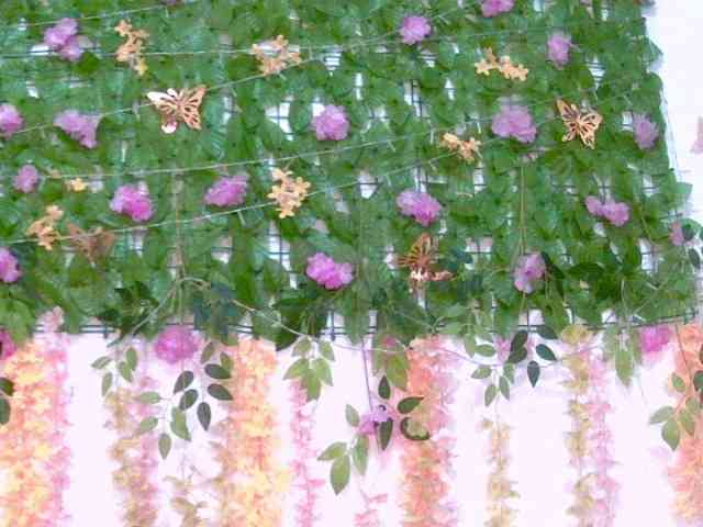 Crystal25 webcam