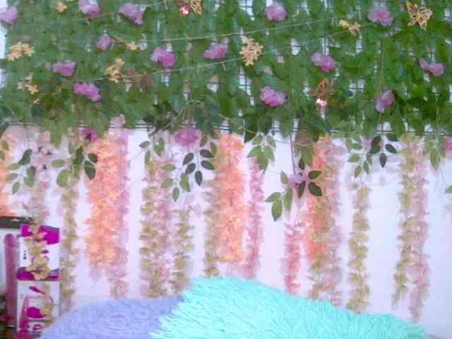 Crystal25 webcam