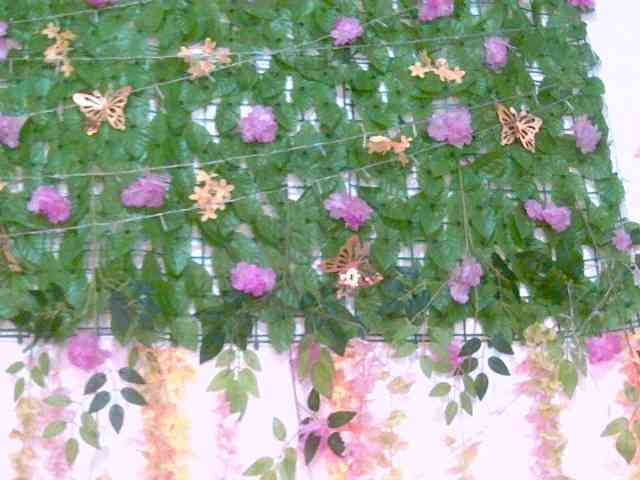 Crystal25 webcam