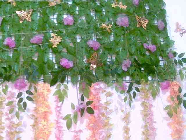 Crystal25 webcam