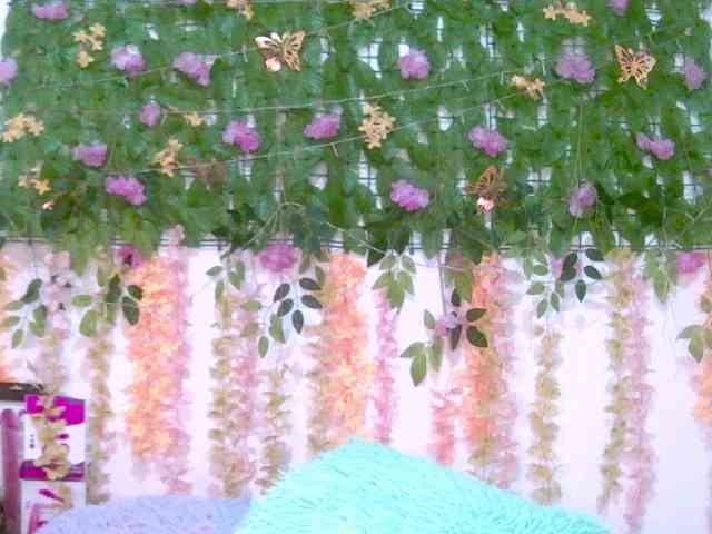 Crystal25 webcam