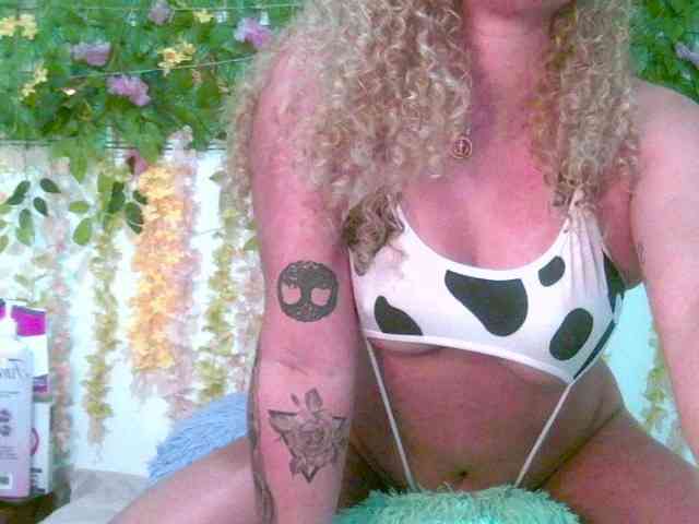 Crystal25 webcam