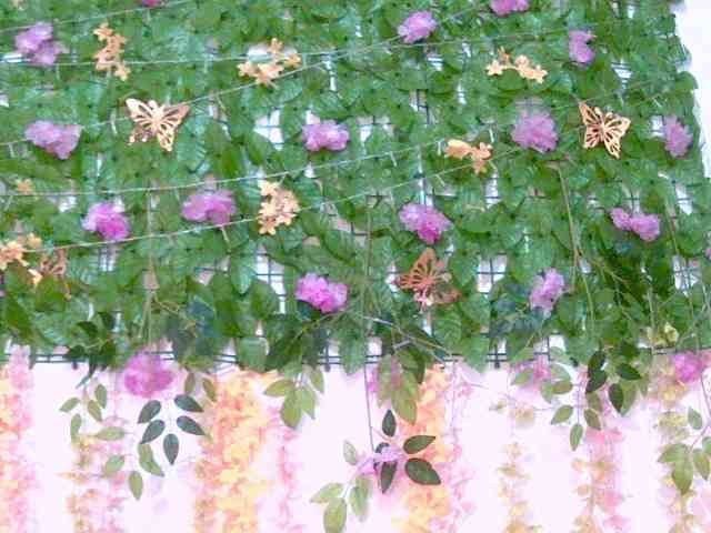 Crystal25
