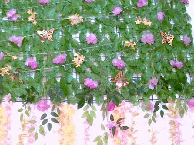 Crystal25 webcam