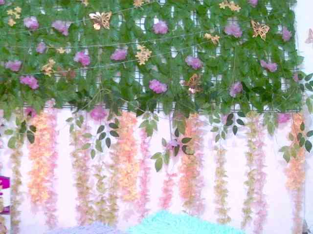 Crystal25 webcam