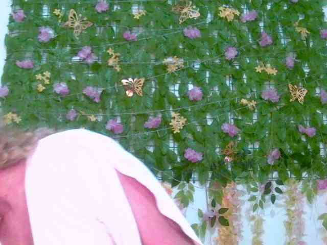 Crystal25 webcam
