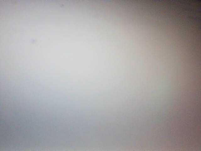 fariana live cam