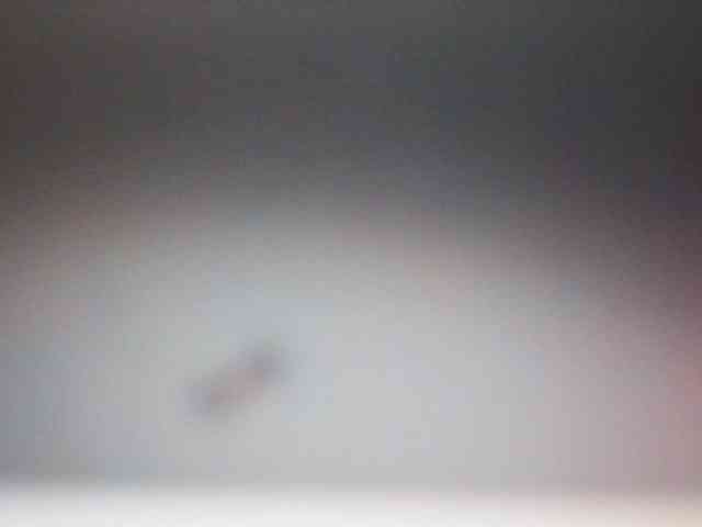 fariana webcam