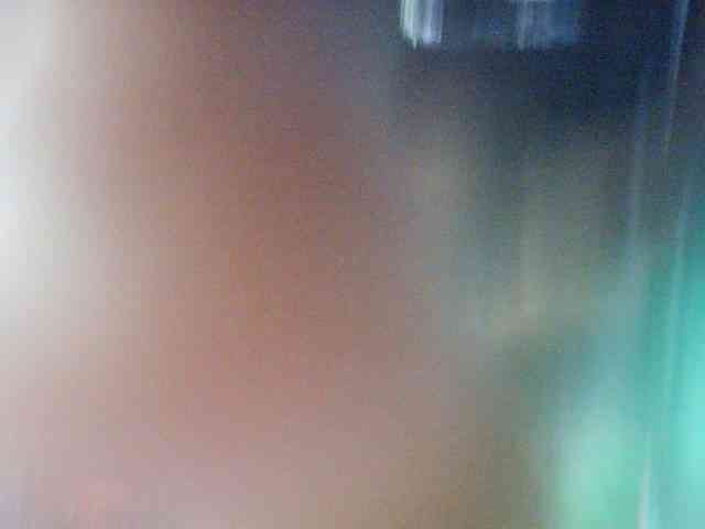 fariana webcam