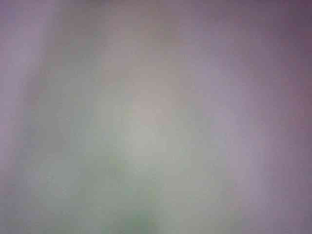 fariana webcam