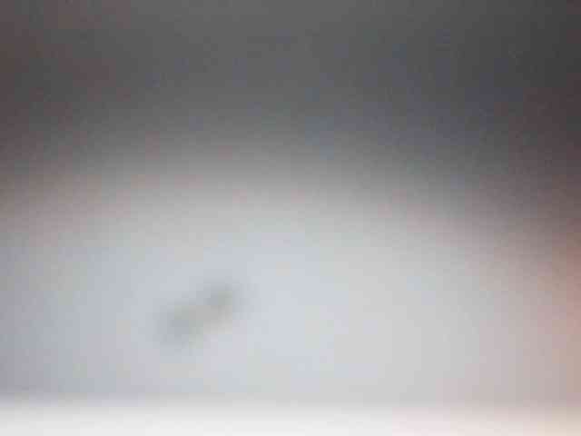 fariana webcam