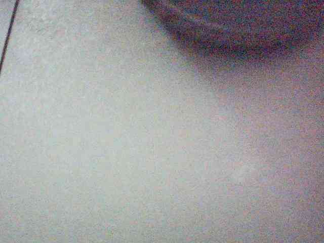 fariana webcam