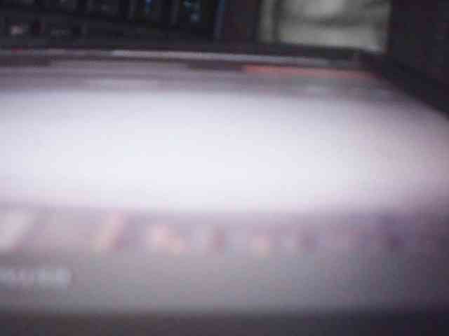 fariana webcam