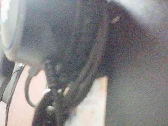 fariana webcam