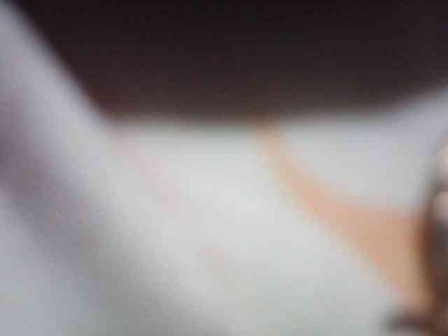 fariana webcam
