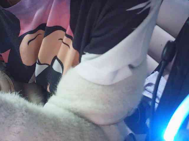 fariana webcam