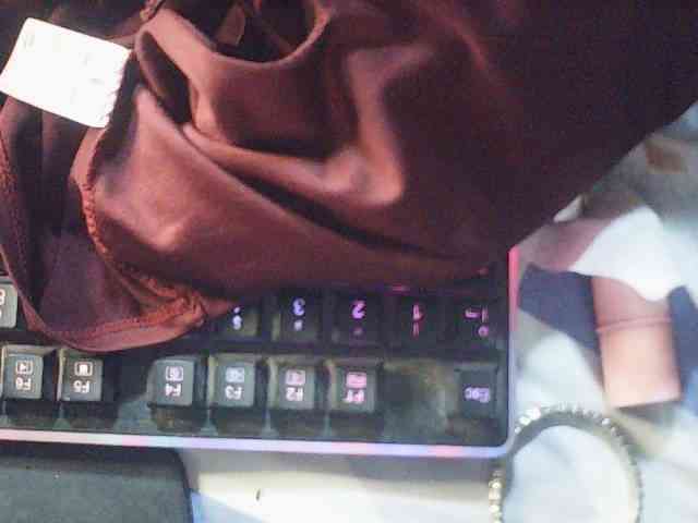 fariana webcam