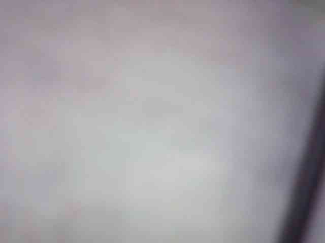 fariana webcam