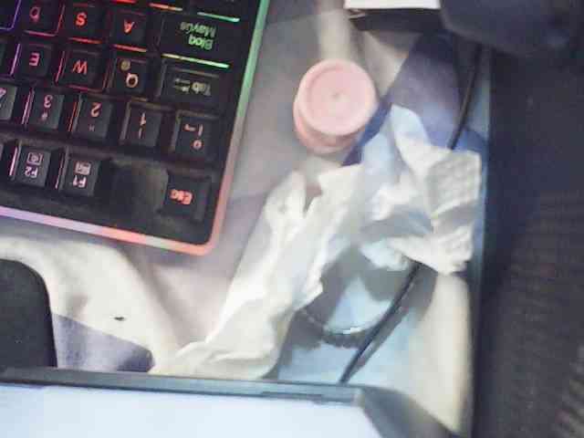 fariana webcam